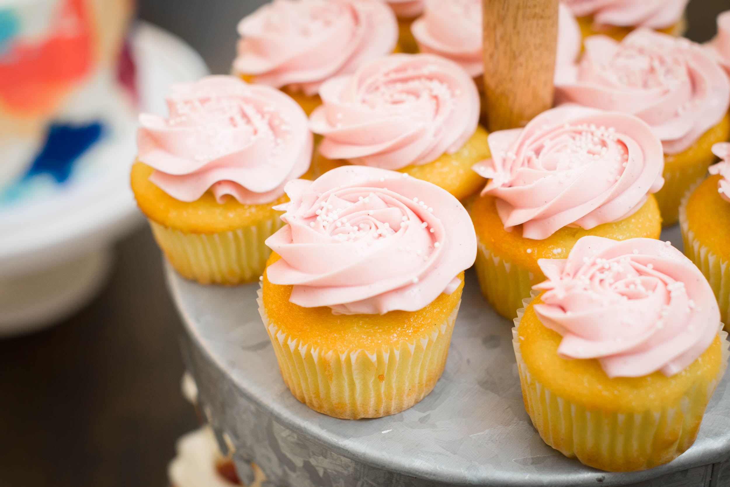 Mercury-Hall-Austin-Wedding-Photographers-texas-reception-dessert-cupcakes-pink-icing-details